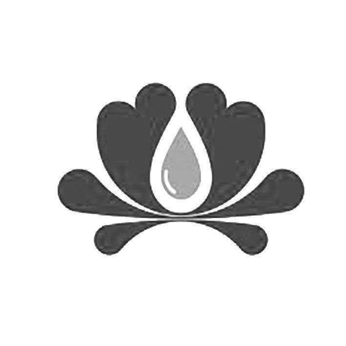 丹之慧生物科技:以研发为核,解码重庆生物科技公司的成长路径